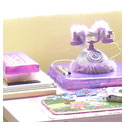 Professional Organizers